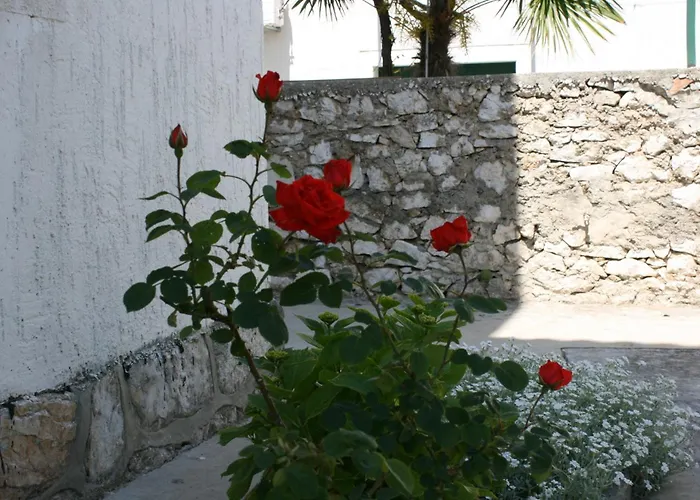 With A Parking Space - 6238 * Vodice